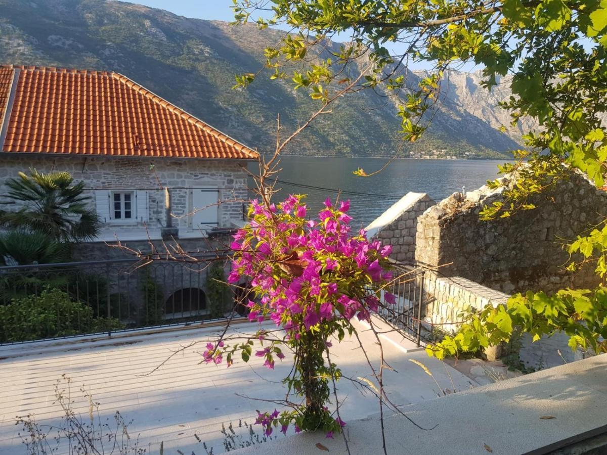 Ferienwohnung Vila Djuro Mikijelj Donji Stoliv Exterior foto